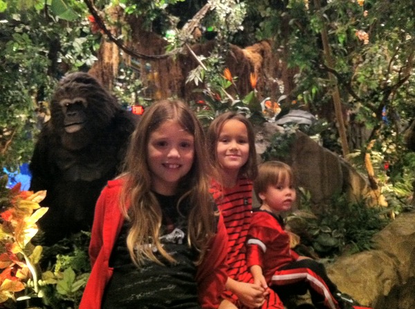 Rain Forest Cafe