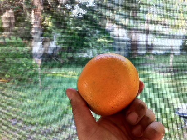 Finally An Orange